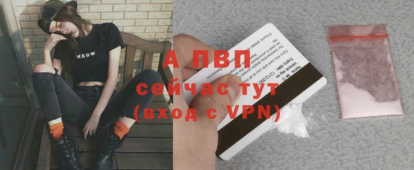 круглые Вяземский