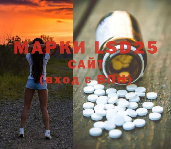 spice Володарск