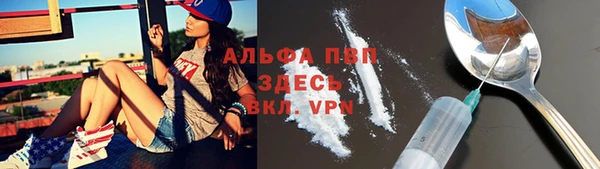 мдпв Волоколамск