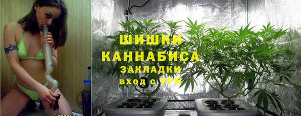 круглые Вяземский