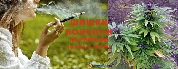 круглые Вяземский